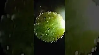 #Dark#night#fishing... Amazon
