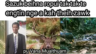 Sazuk beihna ropui tak chu le Pu vana p3