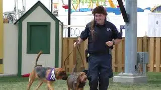 New York State Police Exhibit Canine Bomb Disposal Unit Demonstration 2018 e 2