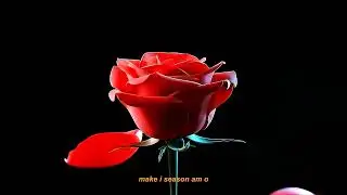 CKay -  permit me (Official Lyric Video)