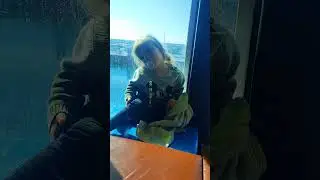 A Quick Look at Crossing the English Channel with Direct Ferries