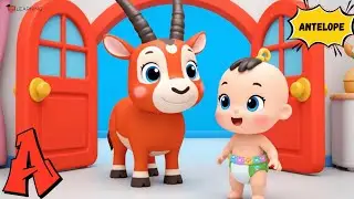 A to Z Alphabet Baby Animals 🐾 | Learn Letters with Cute Animals & Colors | Toddler Learning #abcd