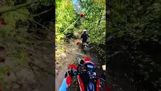 #bikelife #dirtbikeriding #motorcycle #forest #music #crf300l #motovlog #enduro #explore #honda #crf