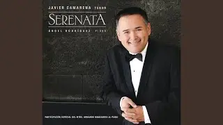 Amor Mío