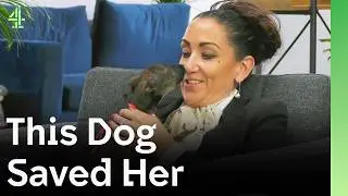 Dog Rescue Stories With Happy Endings | The Dog House 🐶
