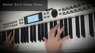 Yiruma - Sunset Bird 🐦 Piano Cover