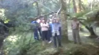VSenges - Alunos do Costa e Silva na Trilha do Monjolo
