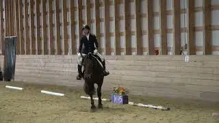 Heike Beckmann & Lord Ludwig MHS - Training Level Test 3