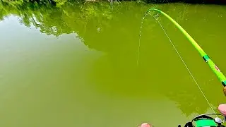 Это произошло, когда я вытаскивал рыбу из воды!