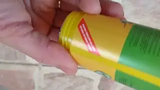 Спасибо, что подарили нам милую черепашку!