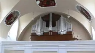 Petr Strakoš - Toccata na píseň Co již dávní proroci