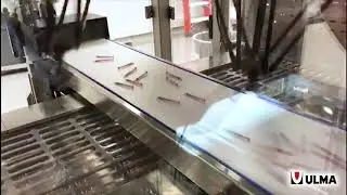 Автоматизированная роботизированная загрузка шприцов c колпачками в термоформер