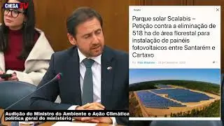 VERGONHA! 540 animais mortos e os crimes ficam impunes!!