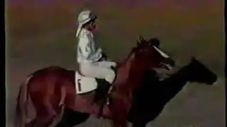 سباق الخيول المنصور(19)