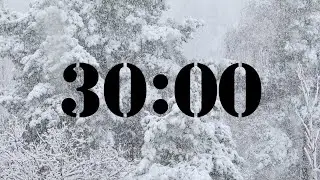 30 Minute Falling Snow Timer