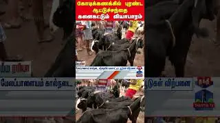 goat || business || nellai || pongalcelebration