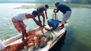 তেলাপিয়া মাছ চাষে স্থানীয় কৌশল | Local fishing techniques in Tilapia Fish Farming