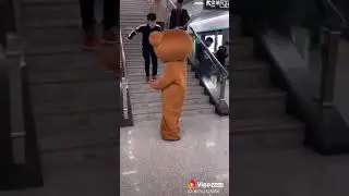 Funny Videos