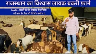 ROYAL GOAT FARM AJMER RAJASTHAN  is live