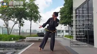 CKD Martial Art - Brown Belt Pattern