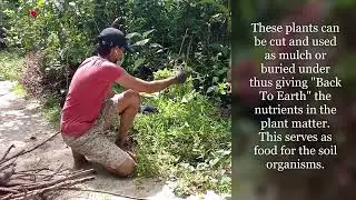 How to make Hugelkultur Raised Garden Bed- Improve soil naturally വെള്ളക്കെട്ടും  മഴയും പ്രശ്നമല്ല!