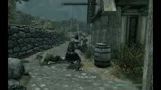 Вилкас сошел с ума и начал нападать на детей. ТЕС. Скайрим.   The Elder Scrolls V Skyrim