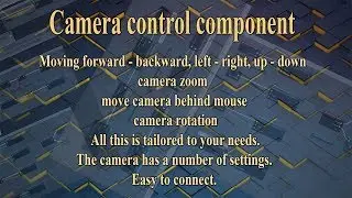 Camera Control Manager