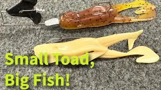 НОВЫЙ NetBait BF Toad 3.5 | Компактный убийца поверхностных приманок!