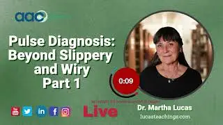Pulse Diagnosis Beyond Slippery and Wiry Part 1