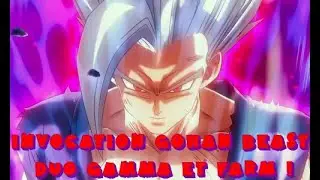 Invocation Gohan Beast et Duo Gamma + Farm !