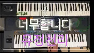전자올겐연주 너무합니다 유정천리 psr sx900