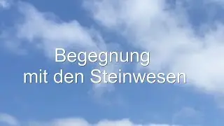 ★ Steinwesen★