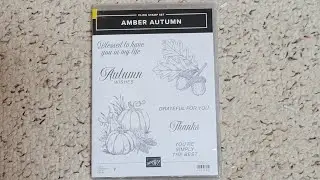 Introducing Amber Autumn bundle