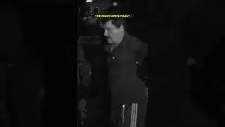 Что такое политика Питера Сантенелло 🇺🇸