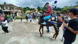 kuda renggong nangorak PMA EPUL GROUP kuda renggong tjs