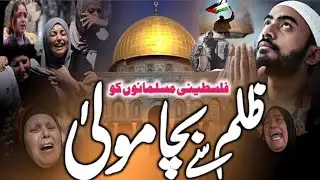falastin pew new nazam|israil and falastin virel nazam|#hafizbindhiofficial|best kalam falastinnazm.