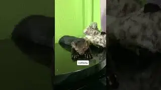 Зло не дремлет 👹