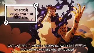 Rob Lucci Devil Fruit Awakening | One Piece Episode 1100 English Sub