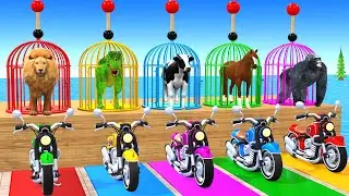 Long Slide Game With Cow Elephant Gorilla Hippopotamus Tiger 3d Animal Game Funny 3d Animals