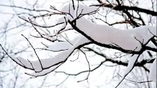Opitope - A White Cloth Falling From The Snow Branches