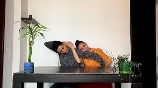 Plantas para el interior | Proyecto Ventris Danza
