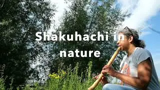 Simplicity | Meditation Music in Nature | Japanese flute & Common Linnet