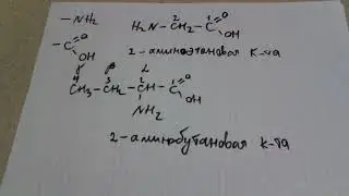 104. Что такое аминокислоты