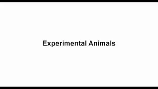 1- Experimental Animals