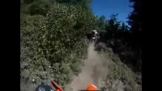 2012' Team Dual Dogs, Sequoia Scenic Challenge