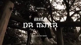 Ara&uacute;jo - 