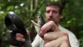 Dr. Zoltan Takacs: The venom is the cure #ThinkStories