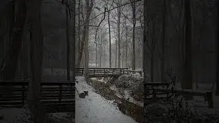 #nature #bridge #creek #river #snow #snowing #woods #park #winter
