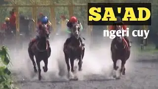 Pacuan kuda kelas C 1600 m || SA'AD putra SAUD piala tiga mahkota seri 2 2019