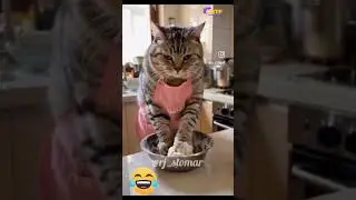 Simboli ki Rasoi 😂 #shorts #viral #funny #comedy #trending